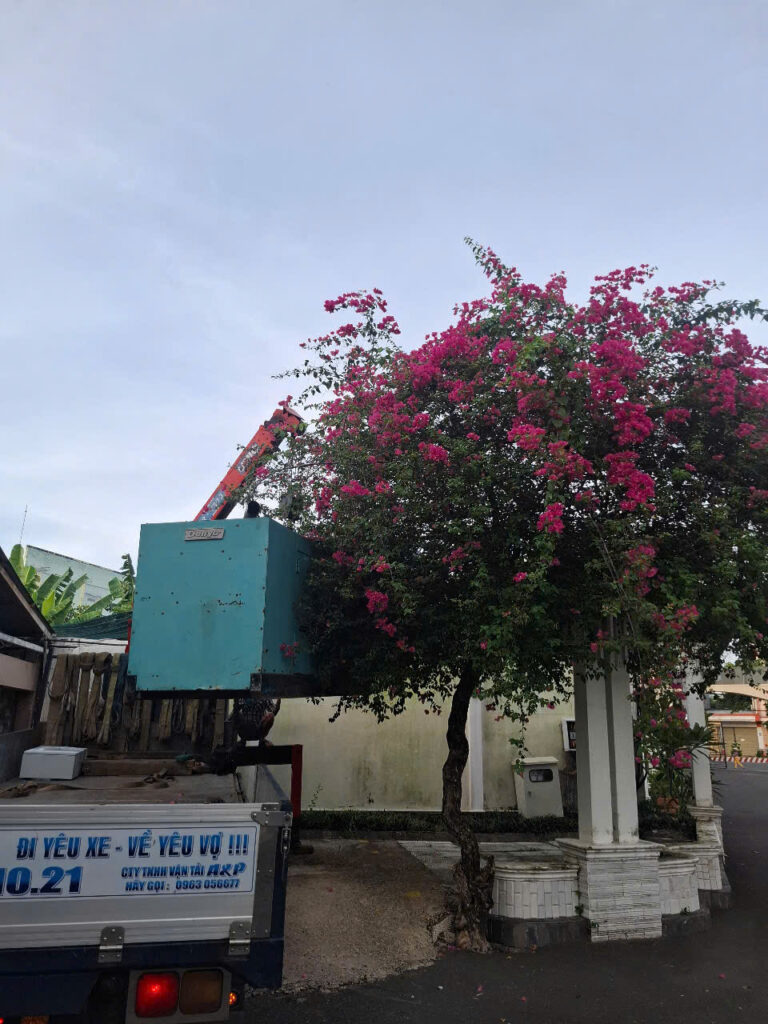 Sửa máy phát điện hộ gia đình quận 6
